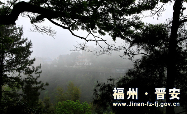 鼓岭雾景 周新建摄4